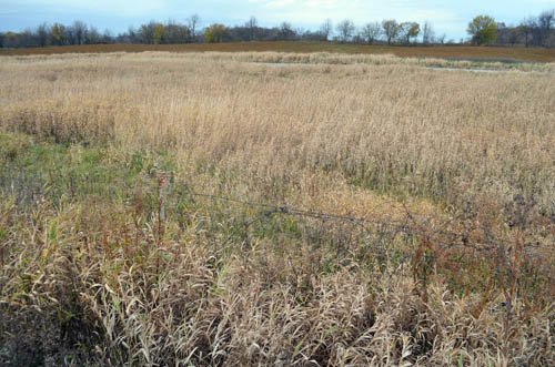 Property photo 31 - 80 Acres & Home - Property Offered in 4 Tracts from 2.3 to 30.0 Acres